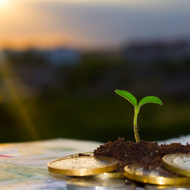 Sytrus Accounting EIS & SEIS Tax Relief Schemes